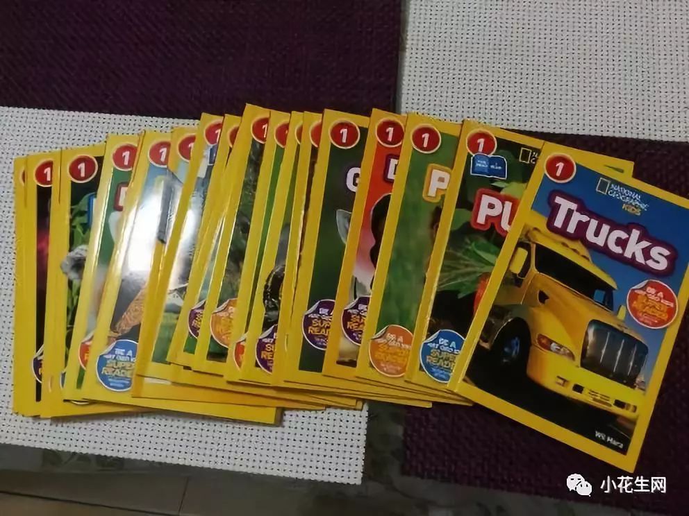 幼儿园学双语好还是纯英语好_一年能学好英语吗_小孩学美语好还是英语好