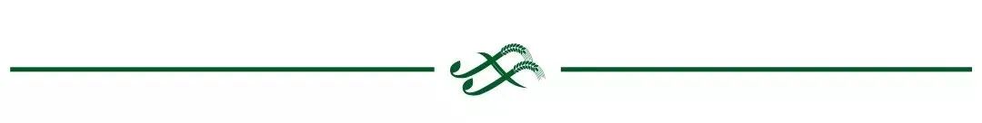 以网页的形式保存文字,常见的网页编辑软件有那些_税法题多选我国现行个人所得税法中采用的税率形式有_英语形式有哪些