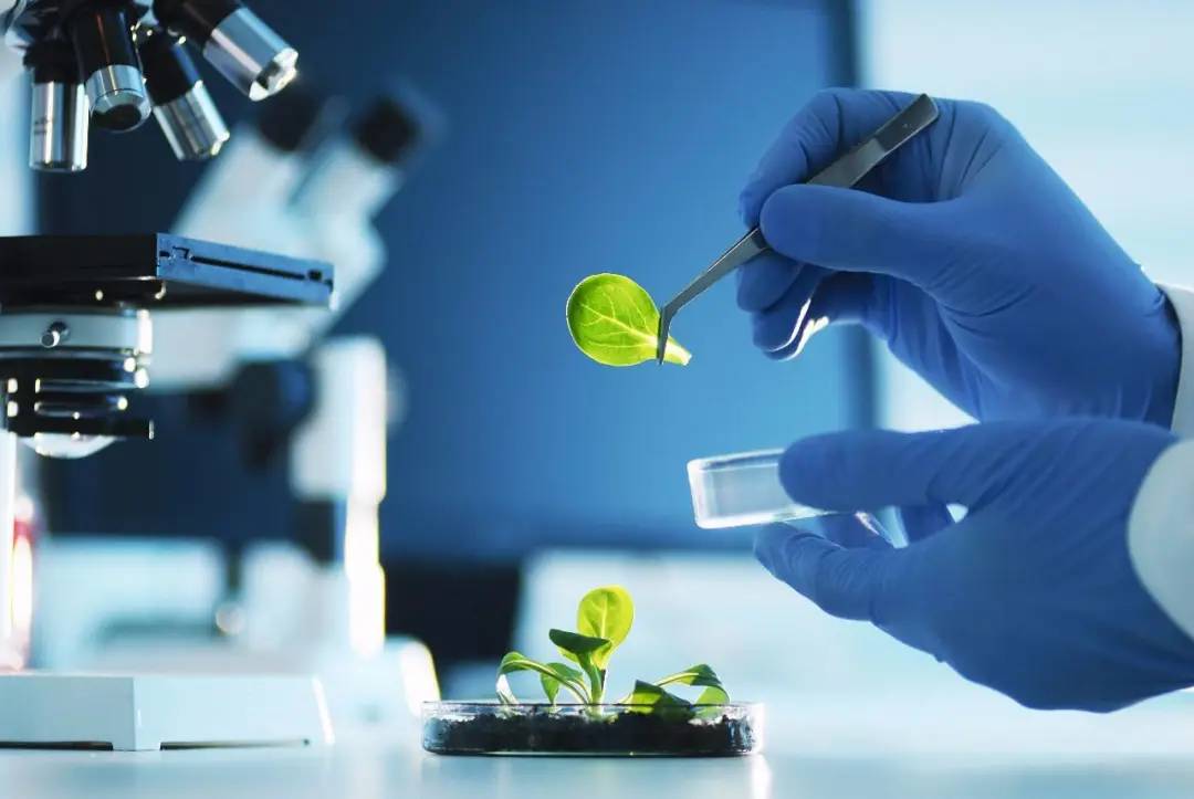 美国研究会:生物工程专业解读(一)缩略图 美国研究会:生物工程专业解读(一)缩略图