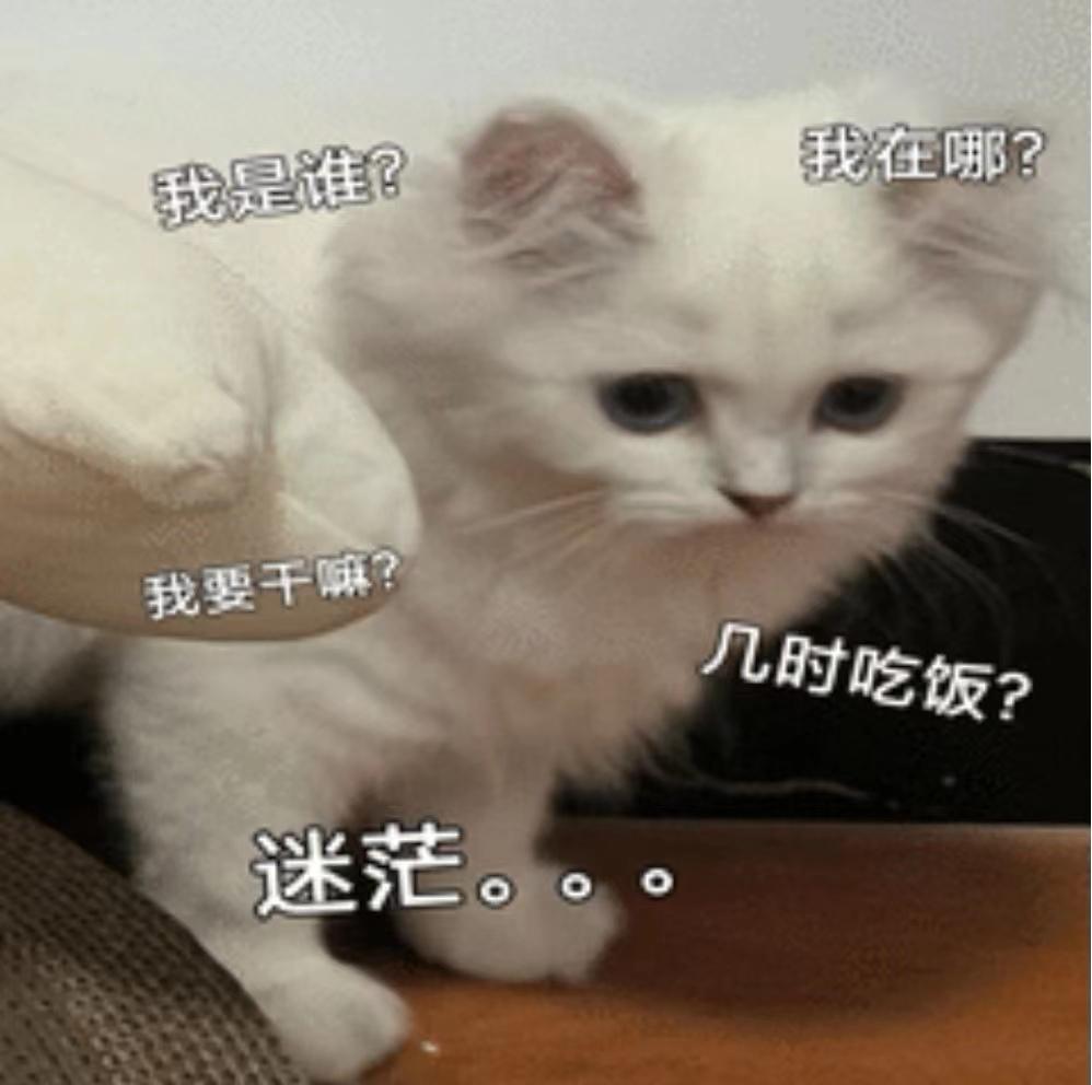 钱多多舌尖上的雅思_钱多多雅思_学个雅思多少钱