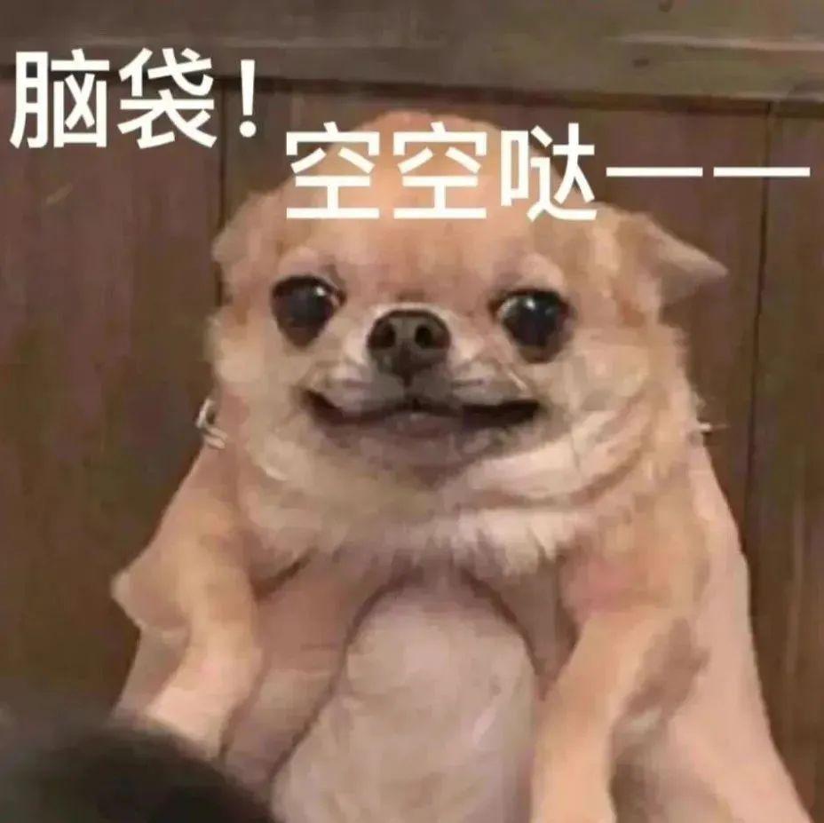 钱多多舌尖上的雅思_钱多多雅思_学个雅思多少钱