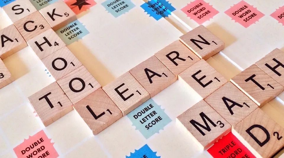 在线学英语单词_学考英语常用一千个单词_扇贝英语怎么看学过的单词