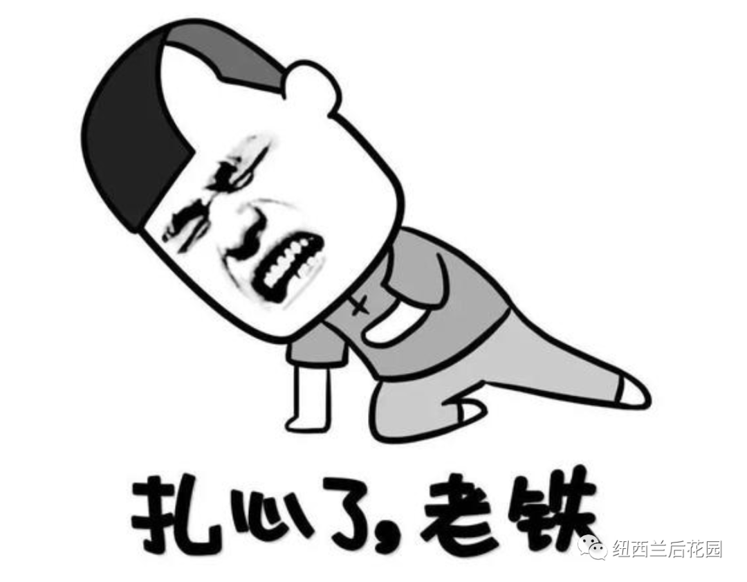 雅思5分和英语4级_雅思7分相当于英语几级_英语雅思5分