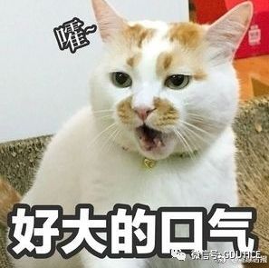 雅思7分相当于英语几级_英语零基础能考到雅思5分吗_李秋雅思9天突破9分：阅读^^^雅思9天突破9分：语法^^^