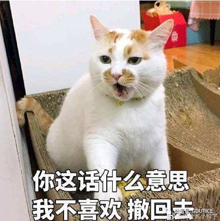 雅思7分相当于英语几级_李秋雅思9天突破9分：阅读^^^雅思9天突破9分：语法^^^_英语零基础能考到雅思5分吗