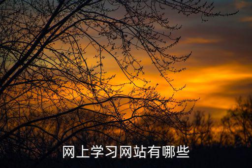 网上学习网站有哪些？快来看看这些优质学习网站缩略图
