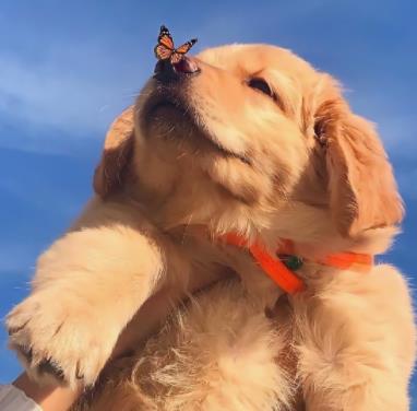 【阿卡索阿卡索真实评价】两个对比有什么区别吗？缩略图