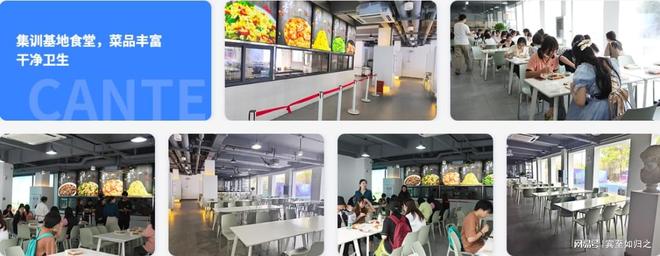 武汉专升本培训机构排名_武汉英语培训外教一对一_武汉专升本培训哪家好