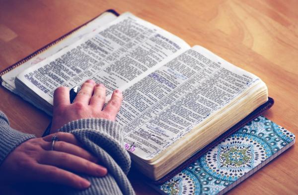 英语网课平台哪个好？众多机构中的佼佼者究竟是谁？缩略图