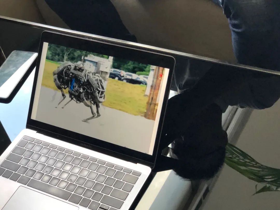 深兰科技新一代机器狗，叫响全国！究竟有何独特之处？缩略图