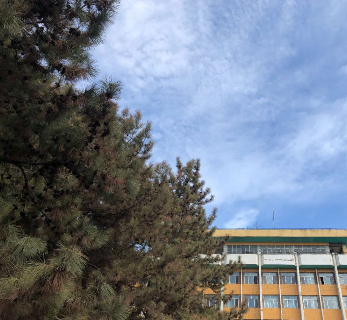 石河子大学优级特色专业推荐_石河子外教_石河子大学牌子专业介绍